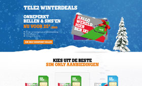 Tele2 - Winter concept 2014 <br /> 
                                Webdesign